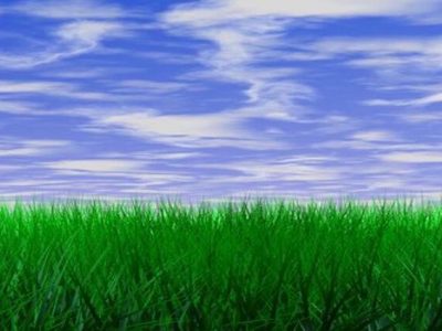 effective lawn fertilizing