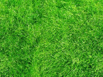 fertilizing your lawn