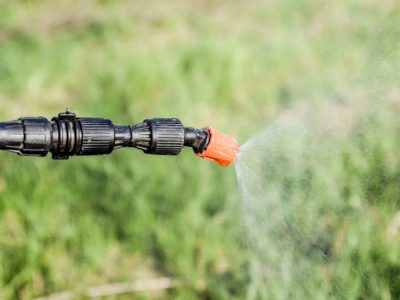 lawn fungicide application
