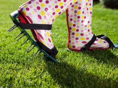 professional lawn maintenance companies