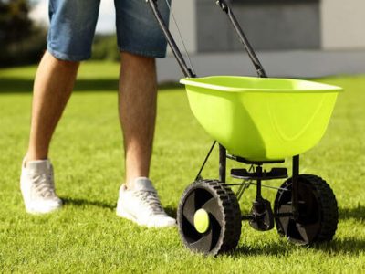 overseeding your lawn in the fall