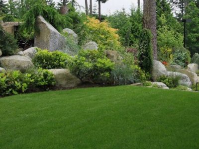 Flowery Branch GA Lawn Service
