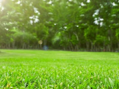 Lawn Care Services Winder GA