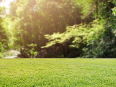 Lawn Care Services Johns Creek GA