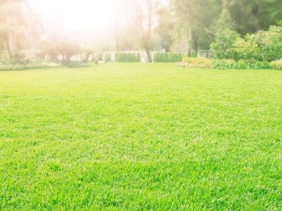 Lawn Care Services Kennesaw Ga