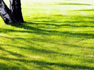 Lawn Care Services Marietta GA