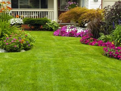 Tips for Weed Control