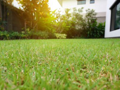 How Weed Control and Aeration Work Together