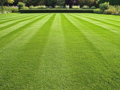 How to Select a Commercial Lawn Treatment Company